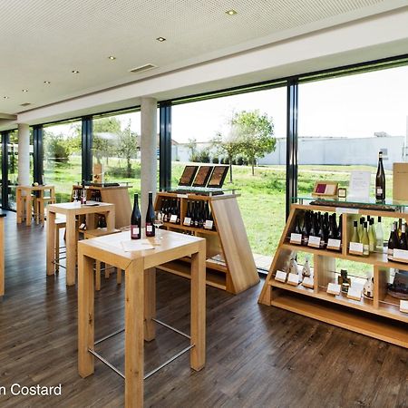 Meyerhof - Bioweingut, Vinothek & Gaestehaus Flonheim Extérieur photo