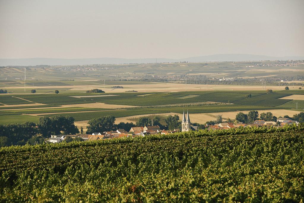 Meyerhof - Bioweingut, Vinothek & Gaestehaus Flonheim Extérieur photo
